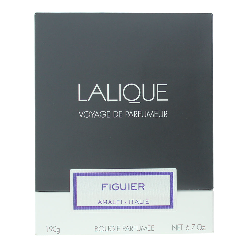 Lalique Figuier Amalfi Italie Candle 190g - Box