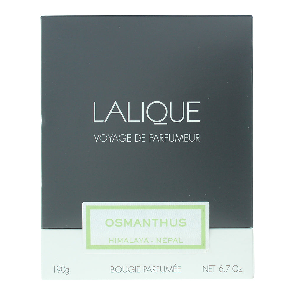 Lalique Osmanthus Himalaya Nepal Candle 190g - Box