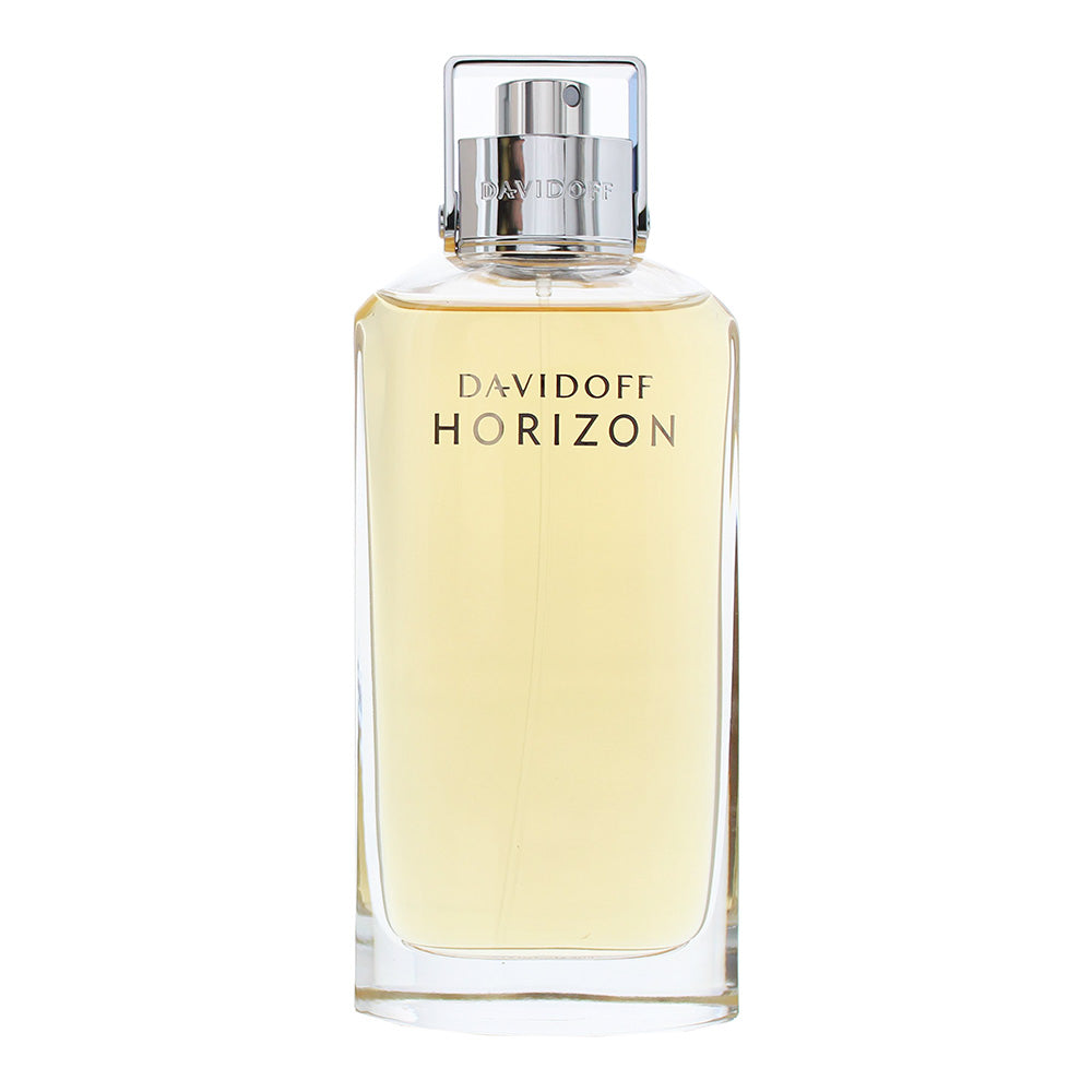 Davidoff Horizon Eau de Toilette 125ml - Product