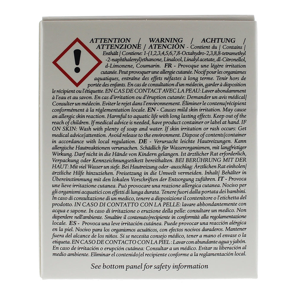 Diptyque Ambre Scented Mini Candle 70g