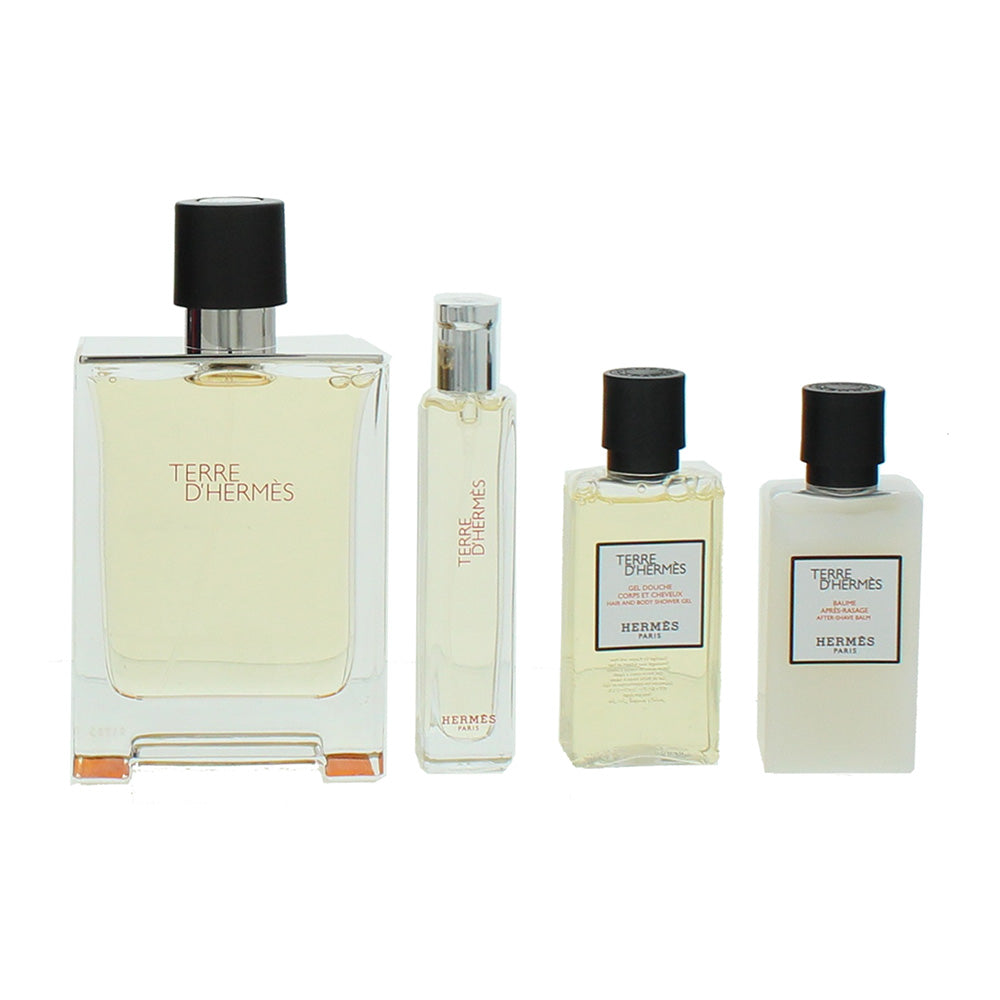 Hermès Terre D'hermès 4 Piece Gift Set: Eau de Toilette 100ml - Eau de Toilette  - Product