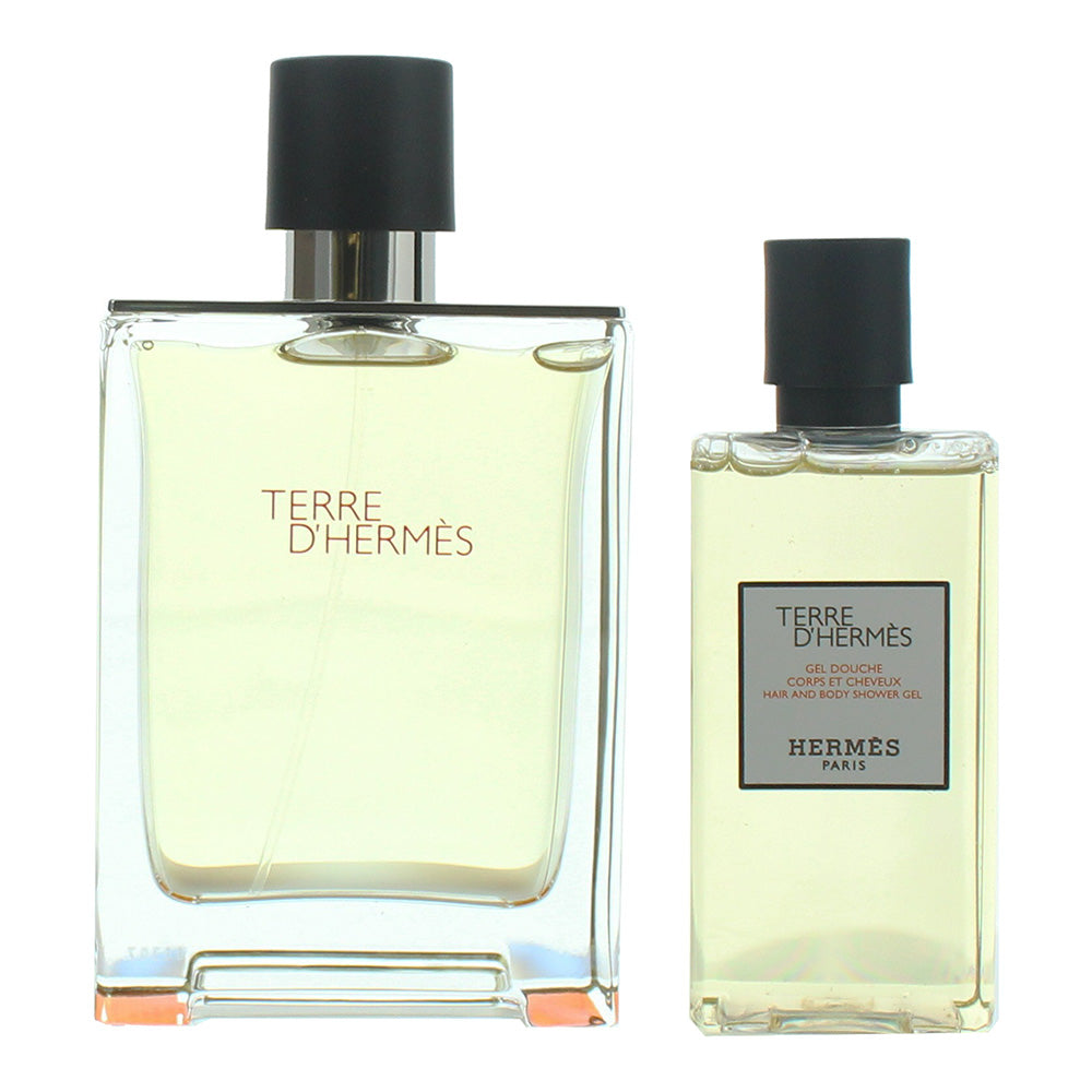 Hermès Terre D'hermès 2 Piece Gift Set: Eau de Toilette 100ml - Shower Gel 80ml - Product