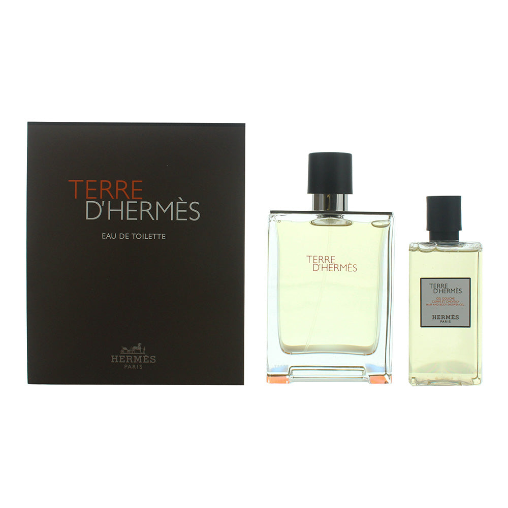 Hermès Terre D'hermès 2 Piece Gift Set: Eau de Toilette 100ml - Shower Gel 80ml