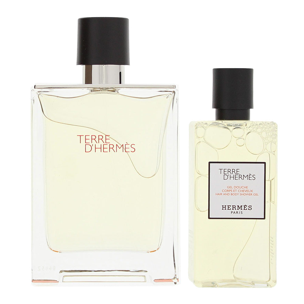 Hermès Terre D'hermès 2 Piece Gift Set: Eau de Toilette 100ml - Shower Gel 80ml - Product