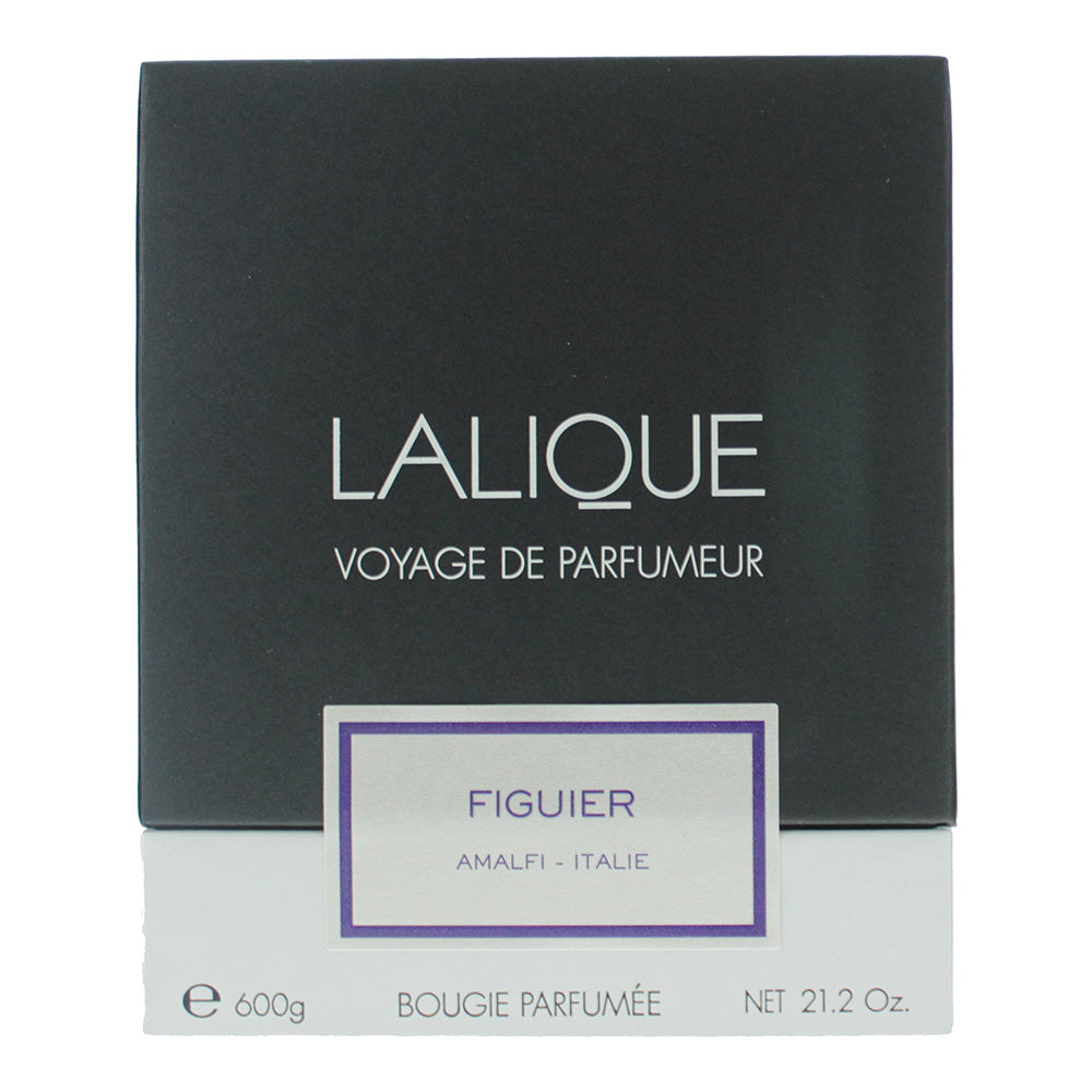 Lalique Figuier Amalfi Candle 600g - Box
