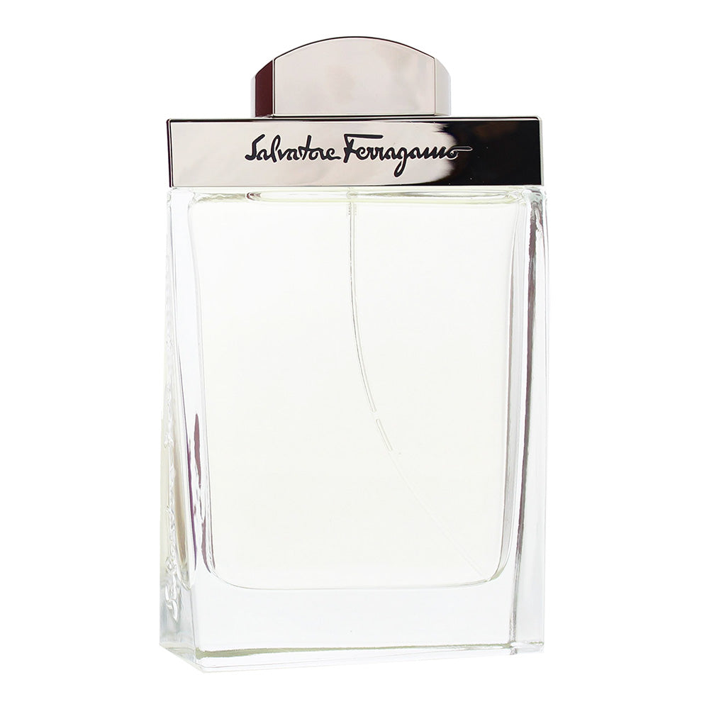 Salvatore Ferragamo Pour Homme Eau de Toilette 100ml - Product