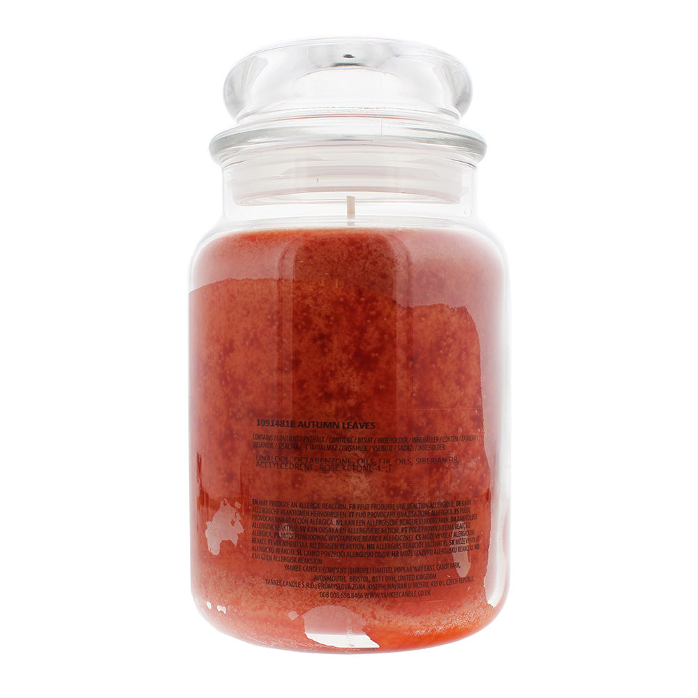 Yankee Autumn Leaves Candle 623g