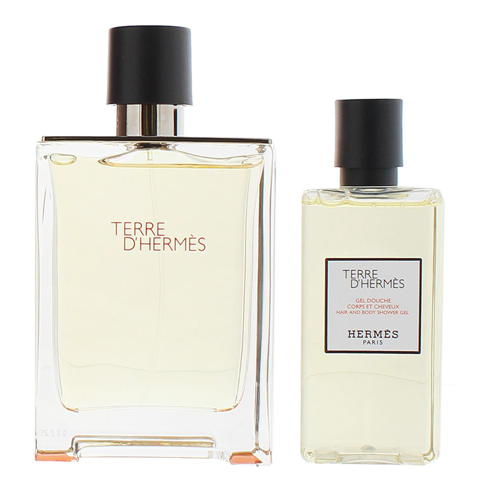 Hermès Terre D'hermès 2 Piece Gift Set: Eau de Toilette 100ml - Hair & Body Show - Product