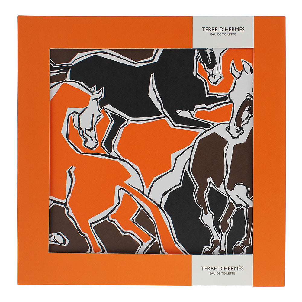 Hermès Terre D'hermès 2 Piece Gift Set: Eau de Toilette 100ml - Hair & Body Show - Box