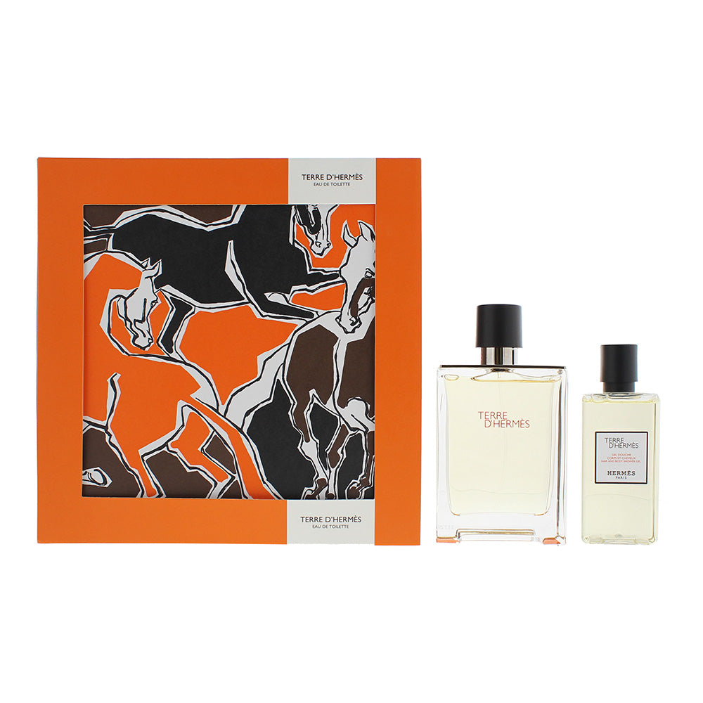 Hermès Terre D'hermès 2 Piece Gift Set: Eau de Toilette 100ml - Hair & Body Show
