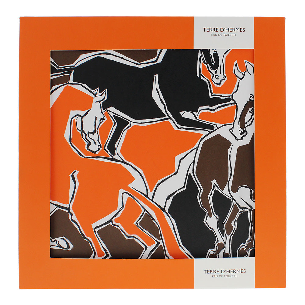 Hermès Terre D'hermès 2 Piece Gift Set: Eau de Toilette 50ml - Hair & Body Showe - Box