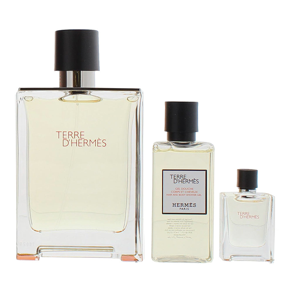 Hermès Terre D'hermès 3 Piece Gift Set: Eau de Toilette 100ml - Eau de Toilette  - Product