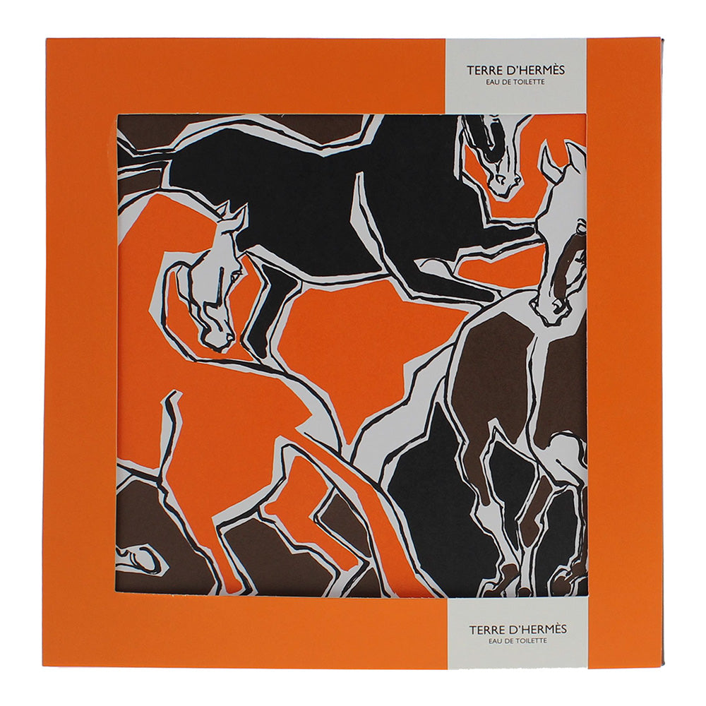 Hermès Terre D'hermès 3 Piece Gift Set: Eau de Toilette 100ml - Eau de Toilette  - Box