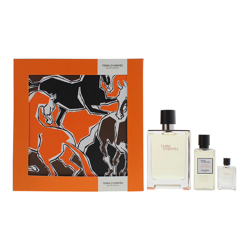 Hermès Terre D'hermès 3 Piece Gift Set: Eau de Toilette 100ml - Eau de Toilette 