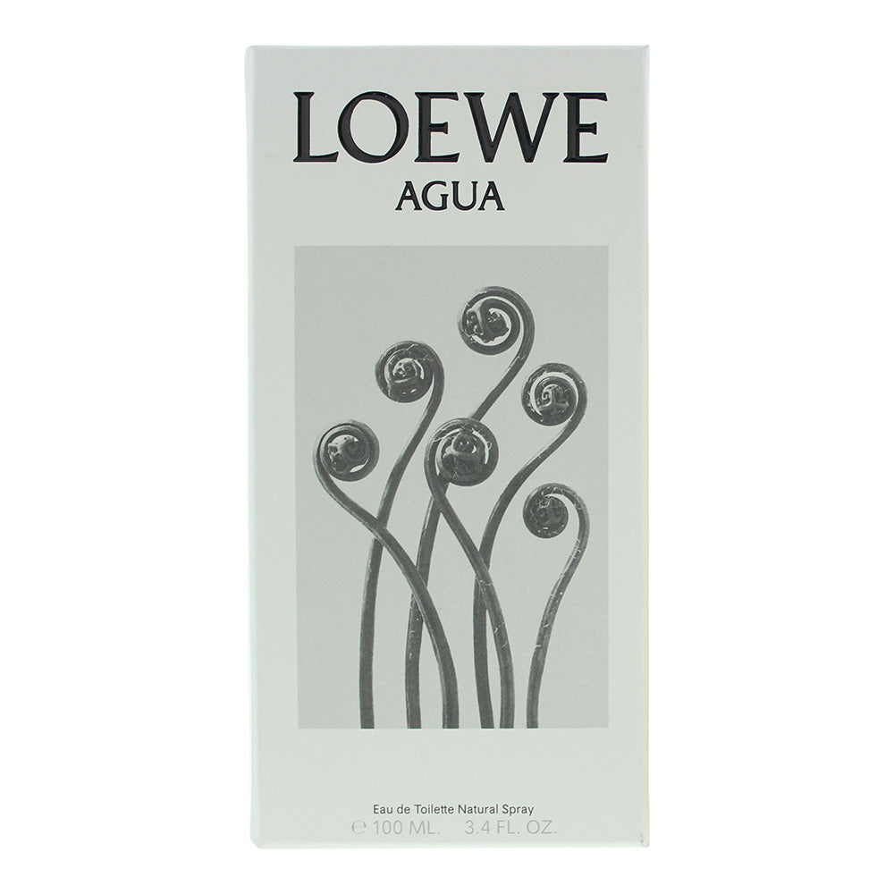 Loewe Agua Eau de Toilette 100ml - Box