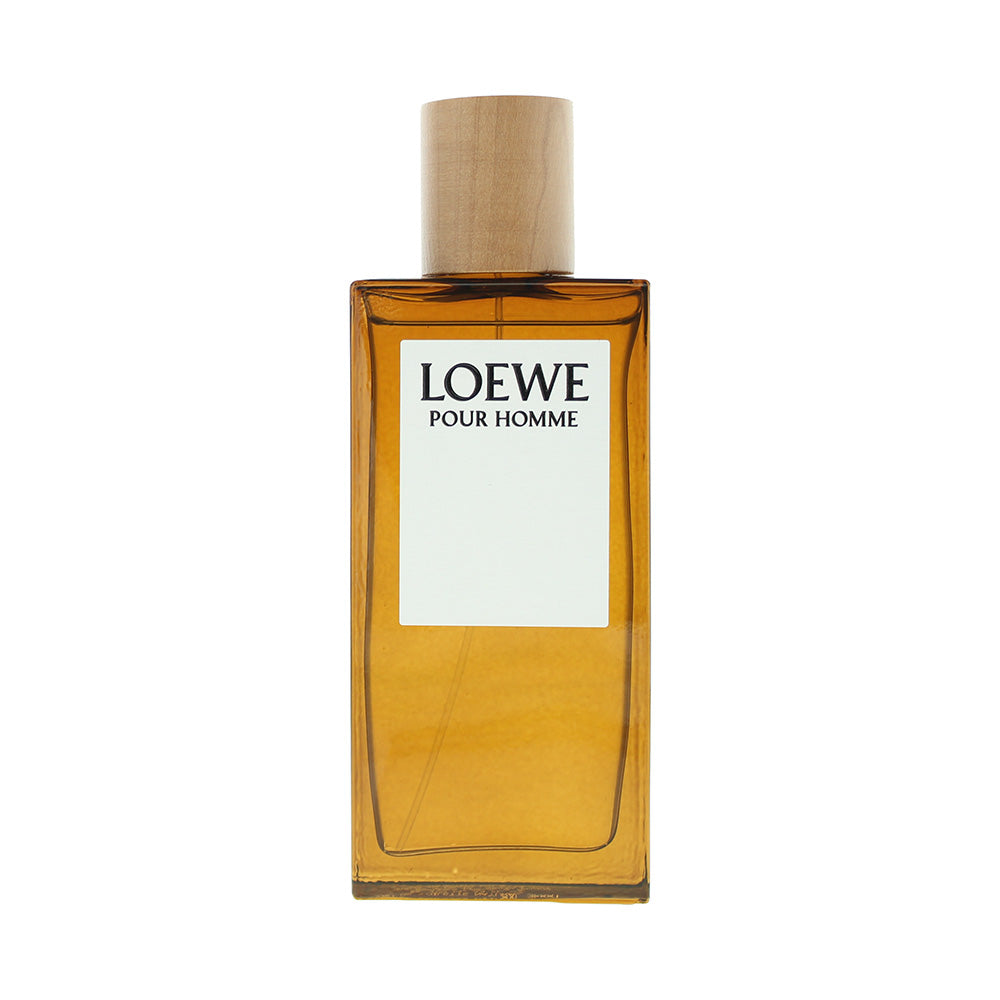 Loewe Pour Homme Eau de Toilette 100ml - Product