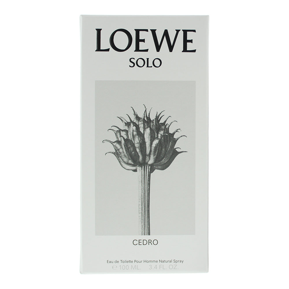 Loewe Solo Cedro Eau de Toilette 100ml - Box