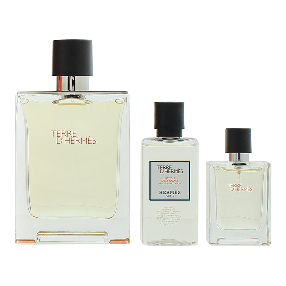 Hermès Terre D'hermès 3 Piece Gift Set: Eau de Toilette 100ml - Eau de Toilette  - Product