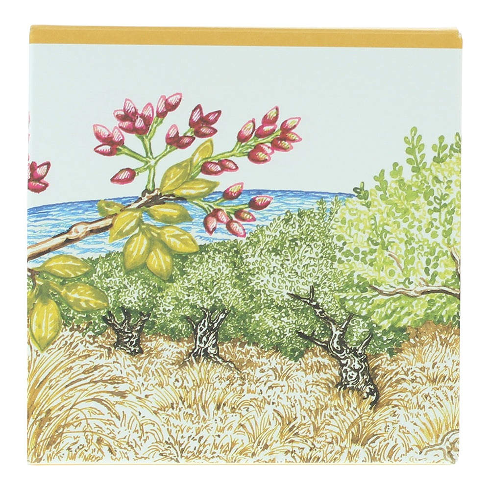 Hermès Un Jardin À Cythère Soap 100g - Box