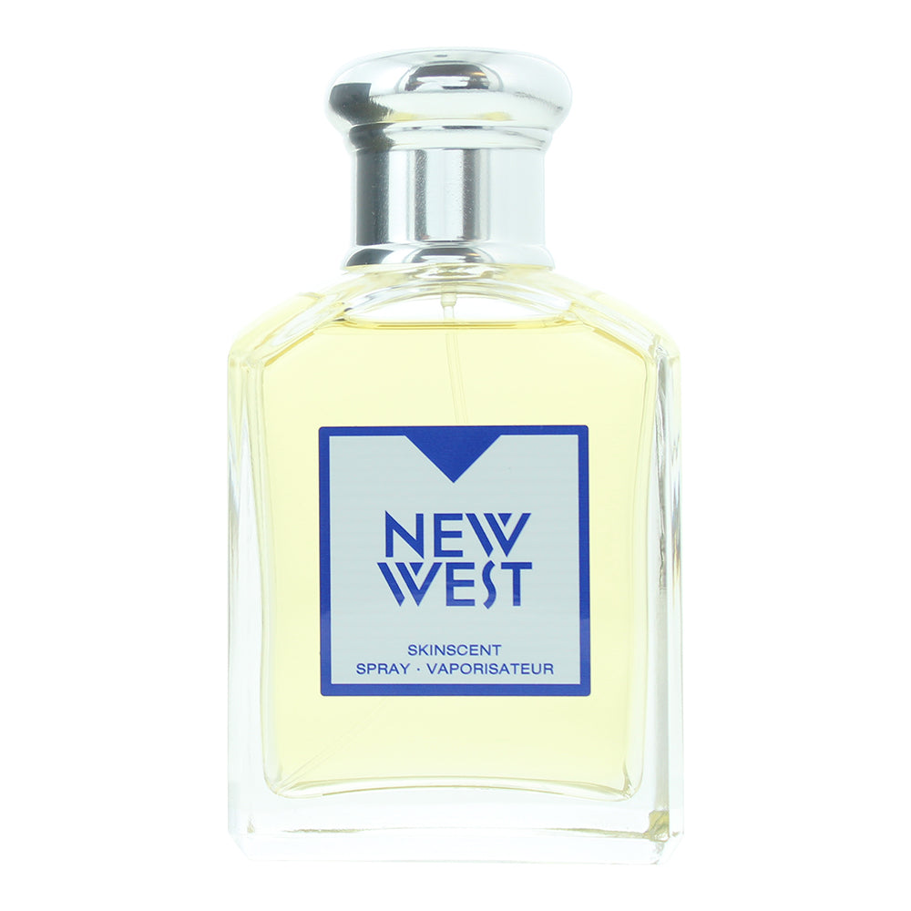 Aramis New West Skinscent Spray 100ml - Product