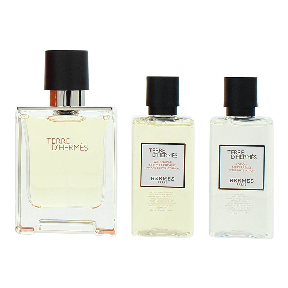 Hermès Terre D'hermès 3 Piece Gift Set: Eau de Toilette 50ml - Hair And Body Sho - Product