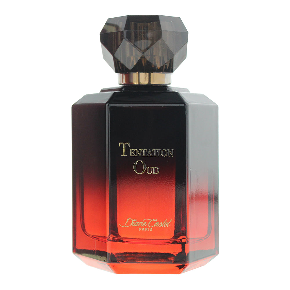 Diane Castel Tentation Oud Eau de Parfum 100ml - Product
