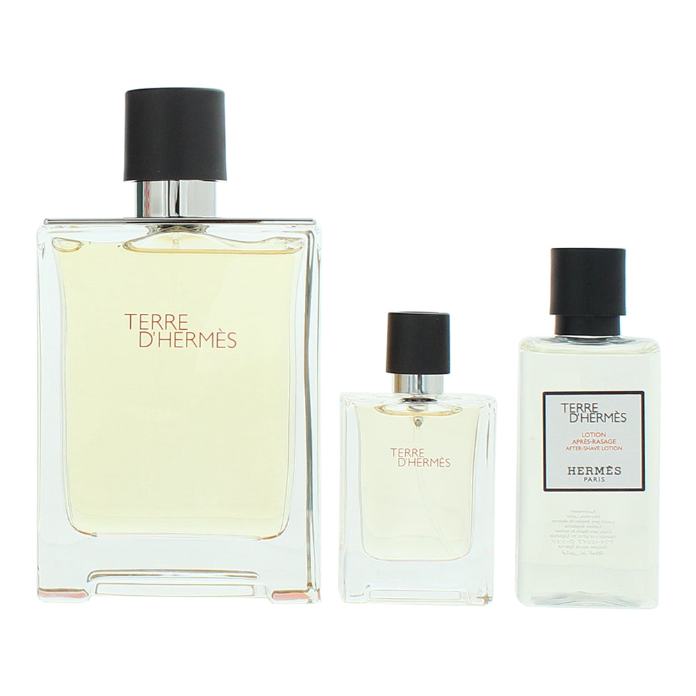 Hermès Terre D'hermès 3 Piece Gift Set: Eau de Toilette 100ml - Eau de Toilette  - Product