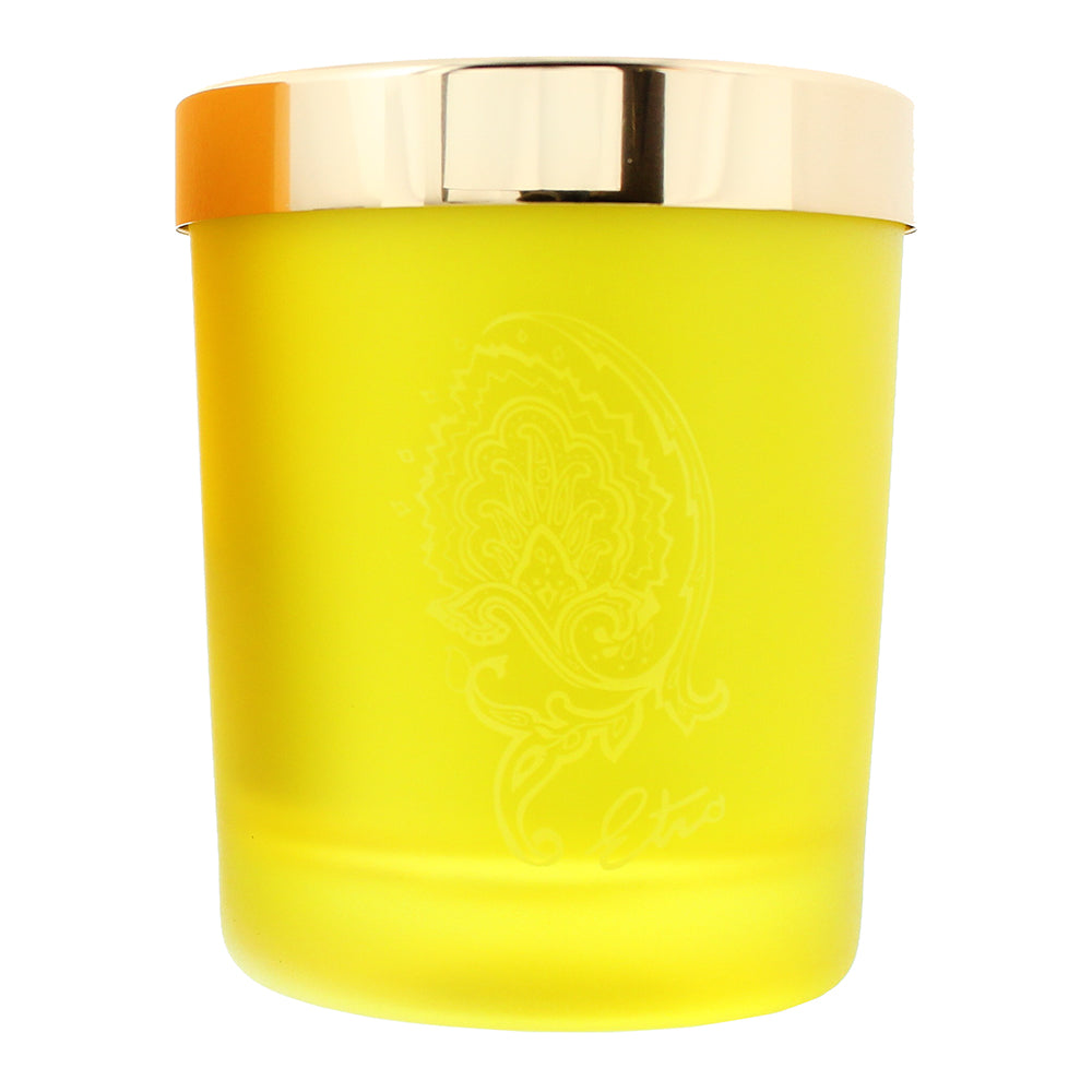 Etro Dafne Perfumed Candle 170g - Product