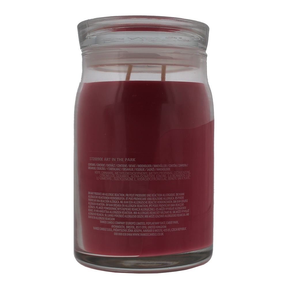Yankee Candle Art In The Park Candle 567g