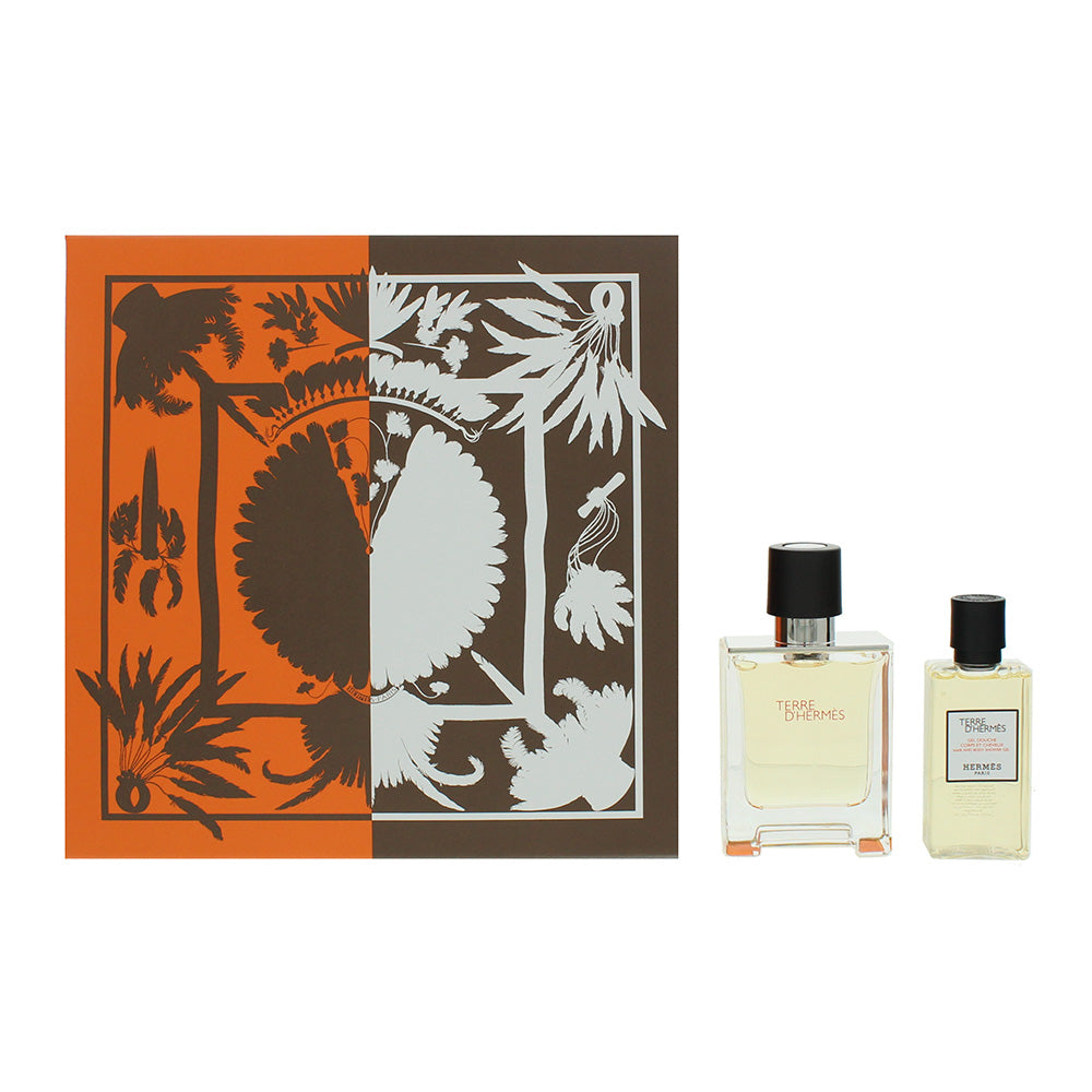 Hermes Terre D'Hermes 2 Piece Gift Set: Eau De Toilette 50ml - Shower Gel 40ml
